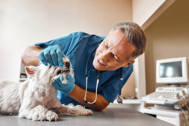 Best Emergency Tooth Extraction in Vance, AL